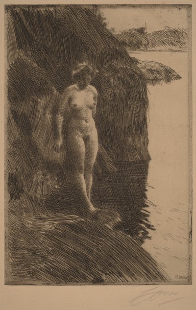  da Anders Zorn