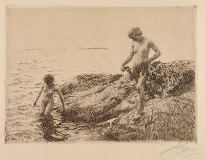 Scogliere verso il mare da Anders Leonard Zorn