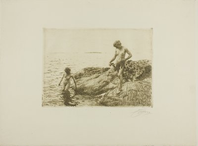 Scogliere verso il mare da Anders Leonard Zorn