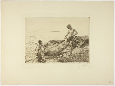 Scogliere verso il Mare da Anders Leonard Zorn
