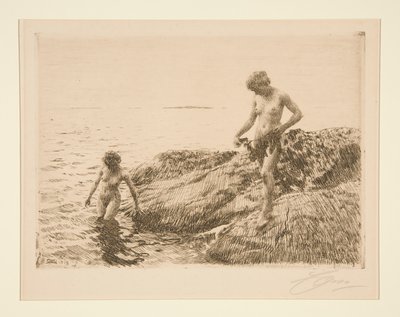 Scogliere verso il mare da Anders Leonard Zorn