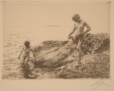  da Anders Zorn