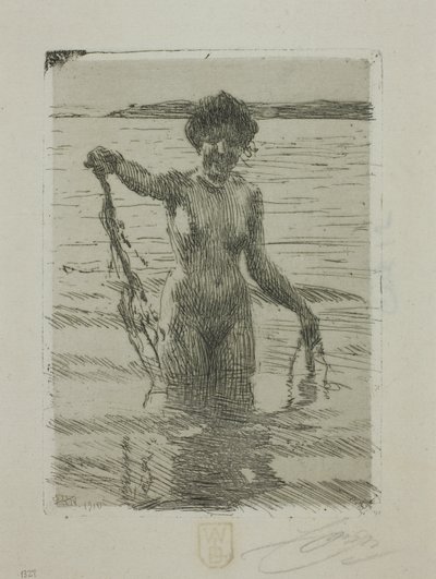 Alghe da Anders Leonard Zorn