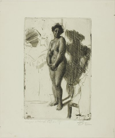 Nero in piedi da Anders Leonard Zorn