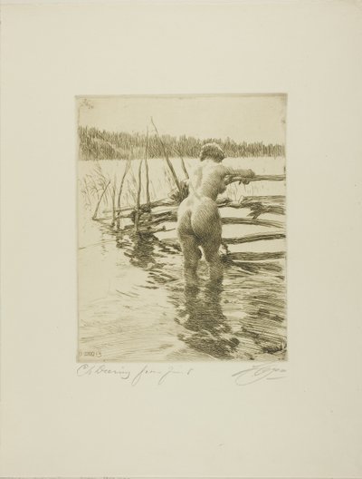 La recinzione da Anders Leonard Zorn