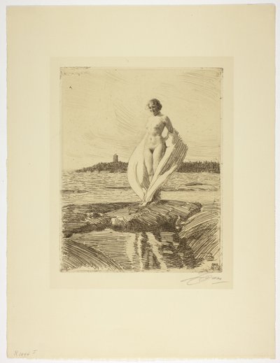 Il cigno da Anders Leonard Zorn