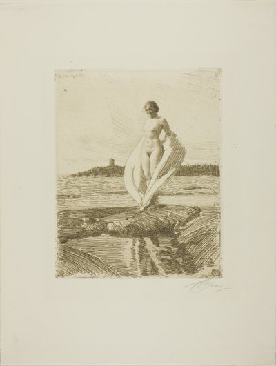 Il Cigno da Anders Leonard Zorn