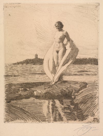 Il Cigno da Anders Leonard Zorn