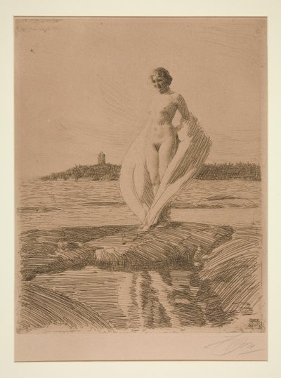 Il cigno da Anders Leonard Zorn