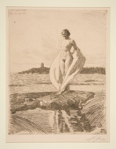 Il cigno da Anders Leonard Zorn