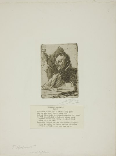 Theodore Roosevelt da Anders Leonard Zorn