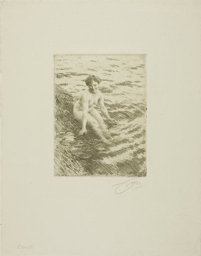 Bagnato da Anders Leonard Zorn