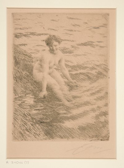 Bagnato da Anders Leonard Zorn