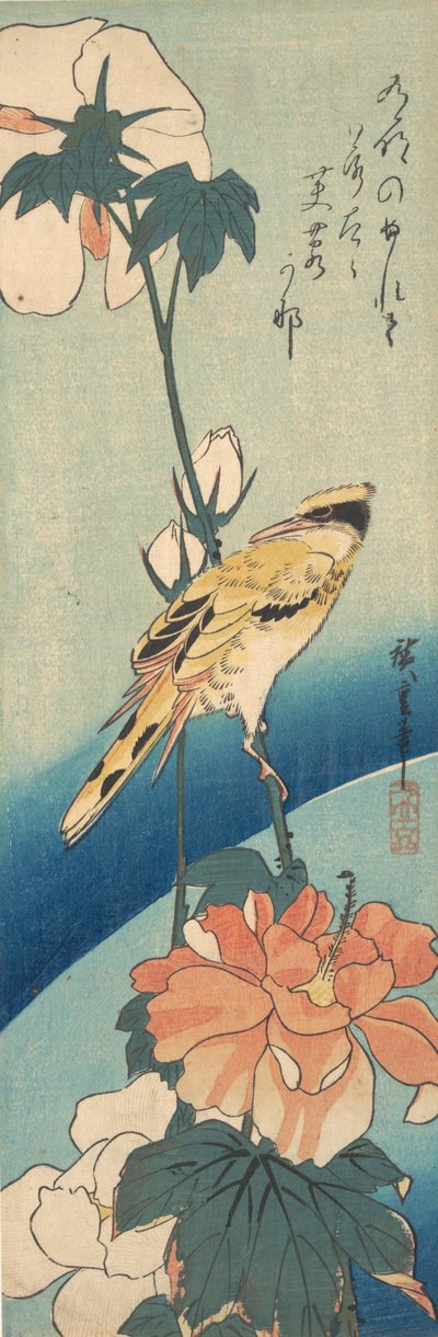 Un oriolo dal collare nero su un gambo di ibisco, ca. 1834 da Ando Hiroshige