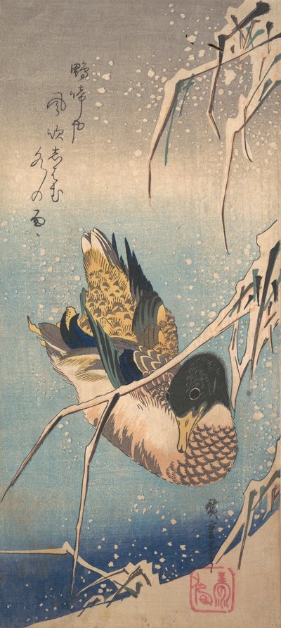 Anatra selvatica vicino a una riva carica di neve da Ando Hiroshige