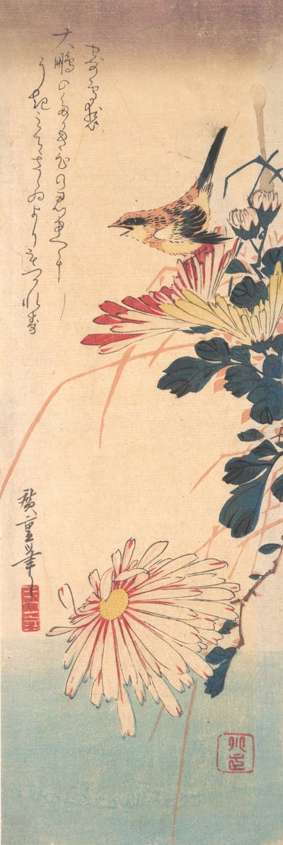 Un scricciolo e crisantemi, ca. 1830 da Ando Hiroshige
