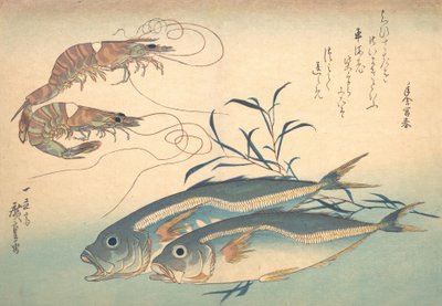 Pesce Aji e Kuruma-ebi, dalla serie Uozukushi Ogni varietà di pesce da Ando Hiroshige