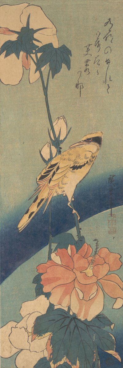 Rigogolo dal collare nero su un gambo di ibisco, ca. 1834 da Ando Hiroshige