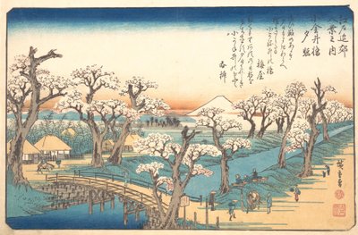 Bagliore serale al confine di Koganei da Ando Hiroshige