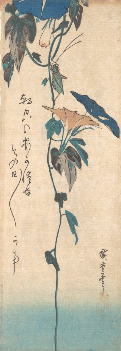Cavalletta e vite di gloria mattutina da Ando Hiroshige