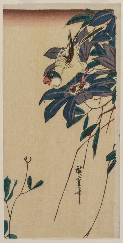 Grosbeak e Clematis, metà degli anni 1830 da Ando Hiroshige