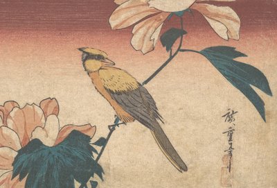 Hibiscus Mutabilis e Ghiandaia da Ando Hiroshige