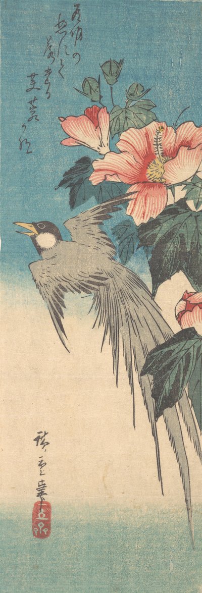 Hibiscus Mutabilis e uccello dalla lunga coda, ca. 1842 da Ando Hiroshige