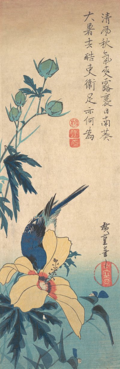 Ibisco e uccello azzurro da Ando Hiroshige