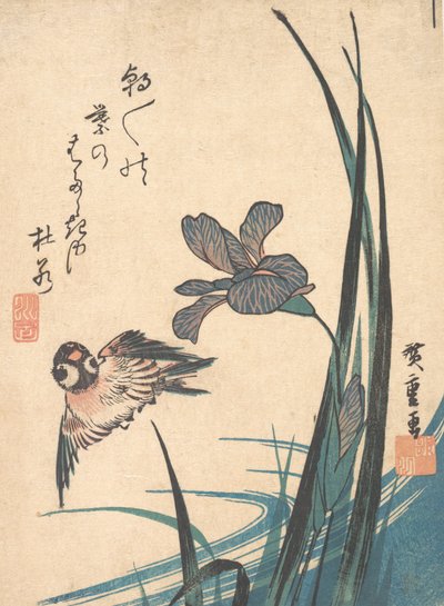 Iris e passero da Ando Hiroshige