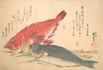 Isaki e pesce Kasago, dalla serie Uozukushi Ogni varietà di pesce da Ando Hiroshige