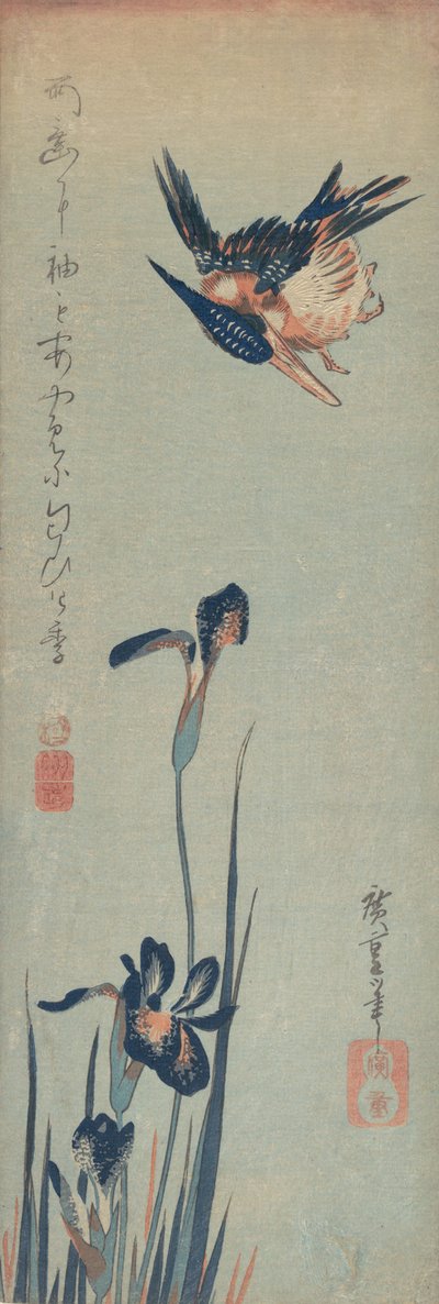 Martin pescatore e iris, 1832-34 da Ando Hiroshige