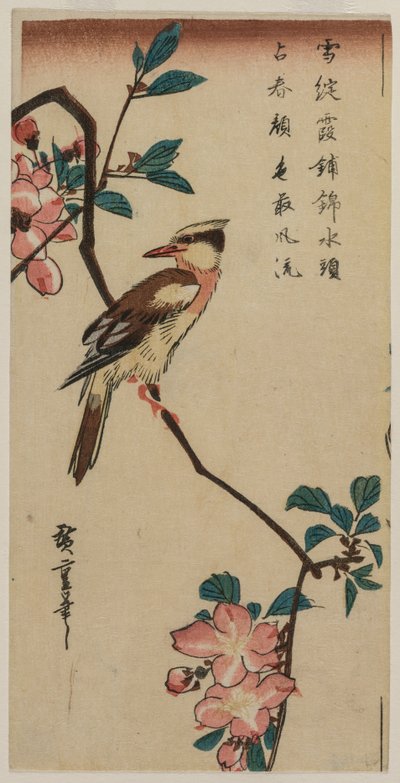 Usignolo Coreano su Ramo di Ciliegio da Ando Hiroshige