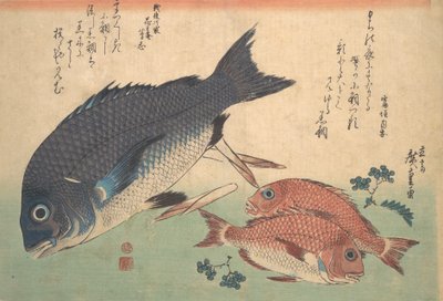 Kurodai e Kodai con germogli di bambù e bacche, dalla serie Uozukushi Every V... da Ando Hiroshige