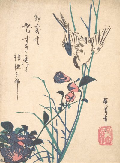 Uccello dal becco piatto e passero a fiori grandi, ca. 1833 da Ando Hiroshige