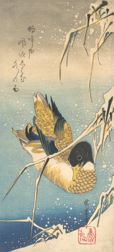 Anatra Germano Reale e Canne Coperte di Neve, ca. 1832 da Ando Hiroshige