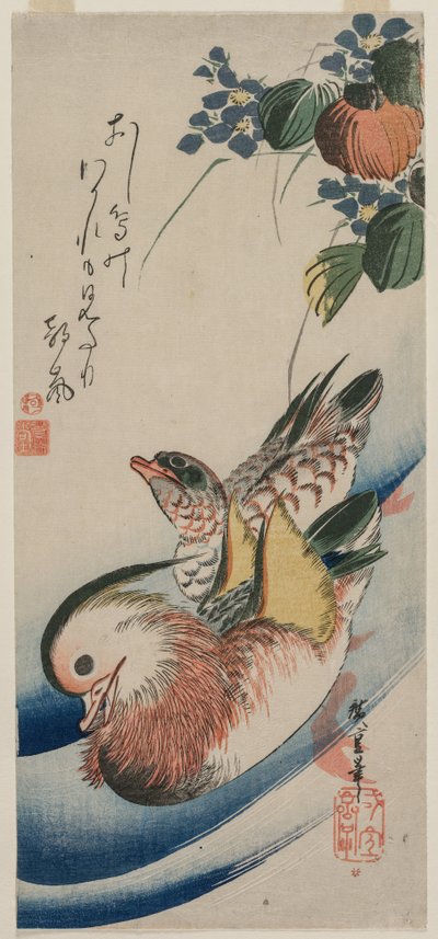 Anatre mandarino e piante fiorite, primi o metà anni 1830 da Ando Hiroshige