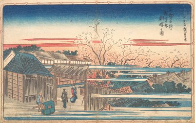 Ciliegie del mattino a Yoshiwara da Ando Hiroshige