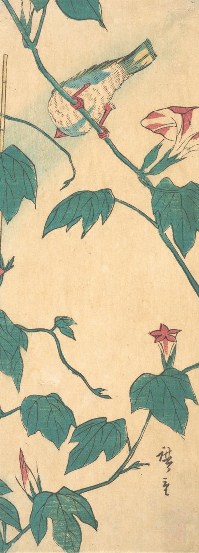 Glorie del mattino e uccello da Ando Hiroshige