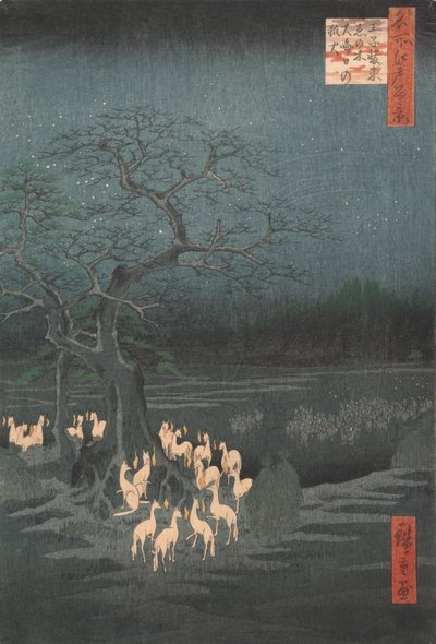 Fuochi di Volpe di Capodanno all