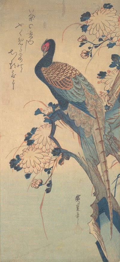 Fagiano con crisantemi, ca. 1835 da Ando Hiroshige
