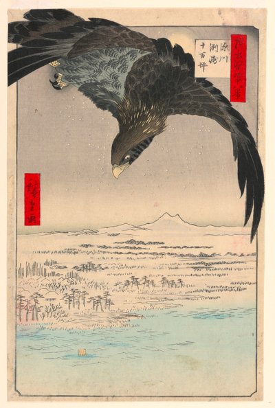 Pianura a Suzaki Fukagawa (Fukagaw Susaki, Juman-tsubo) dalla serie Cento vedute di Edo da Ando Hiroshige