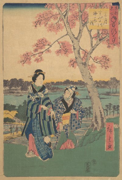 Visita ai fiori di prugno nel terzo mese al fiume Sumida dalla serie Eventi annuali a F... da Ando Hiroshige