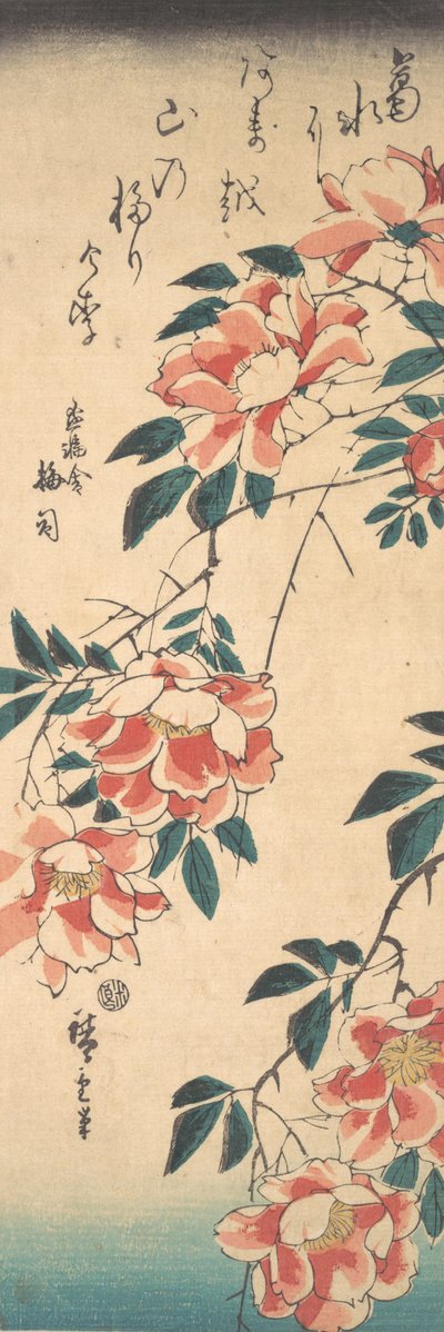 Rose da Ando Hiroshige