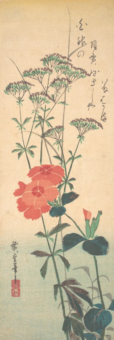 Garofani superbi e agrimonia cinese, ca. 1836 da Ando Hiroshige