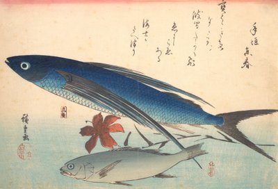 Tobiuo e pesce Ishimochi, dalla serie Uozukushi Ogni varietà di pesce da Ando Hiroshige