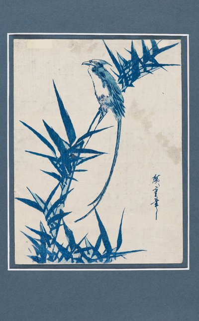Ukiyo-e - Uccello su un ramo in blu, c. 1820-1858 da Ando Hiroshige