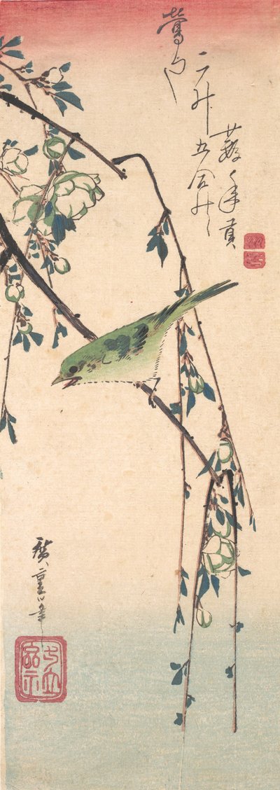 Warbler su un ramo di prugna da Ando Hiroshige