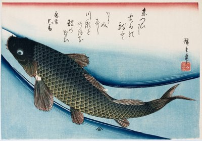 Carpa, dalla serie Collezione di Pesci da Ando or Utagawa Hiroshige