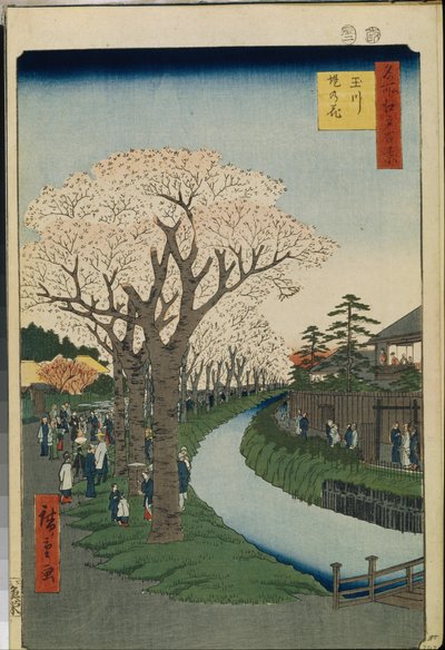 Cento vedute celebri di Edo: Fiori di ciliegio sulle rive del fiume Tama da Ando or Utagawa Hiroshige