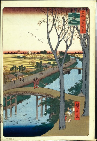 Cento vedute famose di Edo: Argine di Koume da Ando or Utagawa Hiroshige